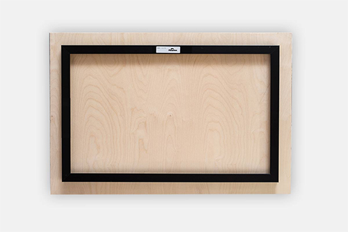 Microbiome 10 NB-D Metal print