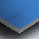 Free Runner 1RB-F Metal print